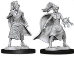 Nolzur's Unpainted D&D Miniatures Scorcerer