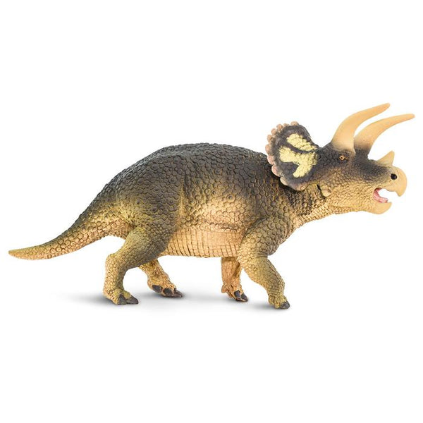 TRICERATOPS | NEW
