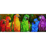 Diamond Dotz Rainbow Parrots