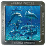 3D Magnetic Puzzle - Dolphins Magna Puzzle
